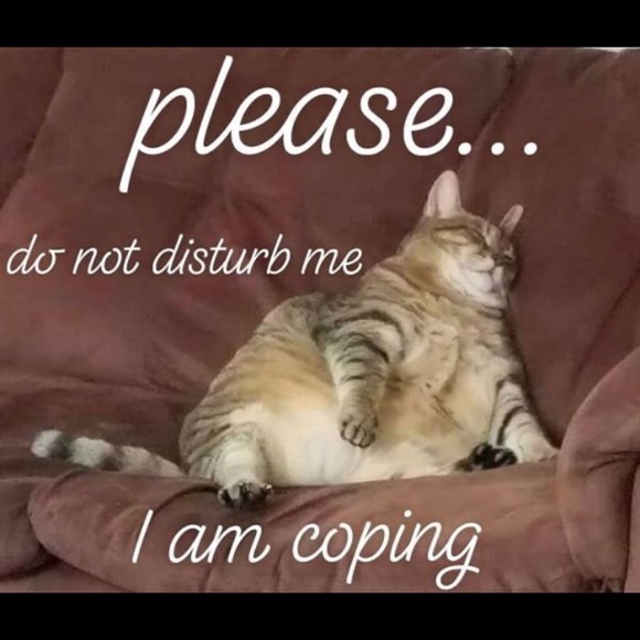 Threads of Violet - Picture 5 of 16